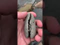 Cracking Open An Incredible Lobster Fossil