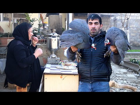 GUINEA MEAT IN BRICK OVEN | VERY DELICIOUS LUNCH FROM GUINEA | DOSHEME PLOV WITH A GUINEA