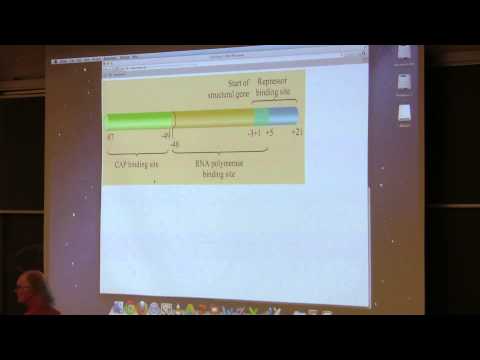 Kevin Ahern's BB 350 (Transcription II) 2014 - #18