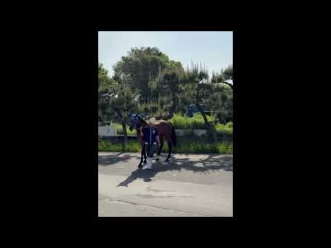 {{itemName}}_video_thumbnail