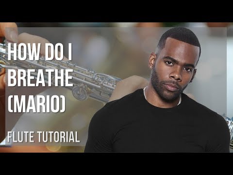 How to play How Do I Breathe by Mario on Flute (Tutorial)