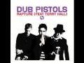 Dub Pistols Feat. Terry Hall- Rapture (Dub Pistols Stevie Nicks Dirty Tricks Mix).wmv