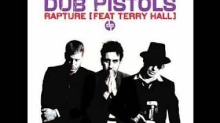 Dub Pistols Feat. Terry Hall- Rapture (Dub Pistols Stevie Nicks Dirty Tricks Mix).wmv