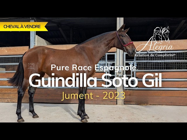 Guindilla Soto Gil, proche de l&rsquo;homme.