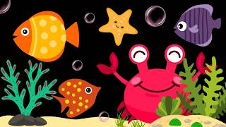 Baby Sensory Video – Newborn Visual Stimulation – Sensory Videos for Babies - Tummy Time #baby gameplay video by Rachel.Marquis, 70:04 duration