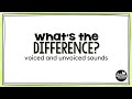 What's the Difference? Voiced and Unvoiced Sounds