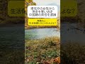 【批判】帰宅中の女性から現金を奪う中国籍の男性を逮捕