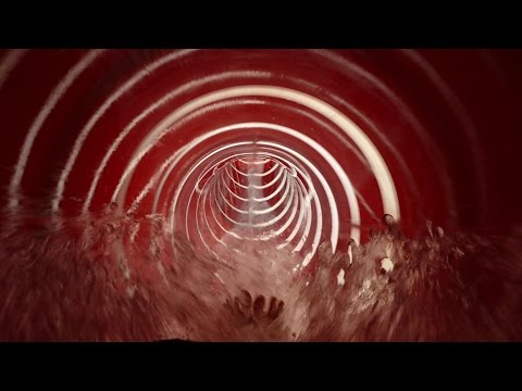 Plopsaqua De Panne - "Sky Drop" Super Loop Turbo-Slide