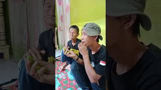 Download lagu prank si kakek pake buah belimbing wuluh #shorts mp3 Download lagu prank si kakek pake buah belimbing wuluh #shorts mp3