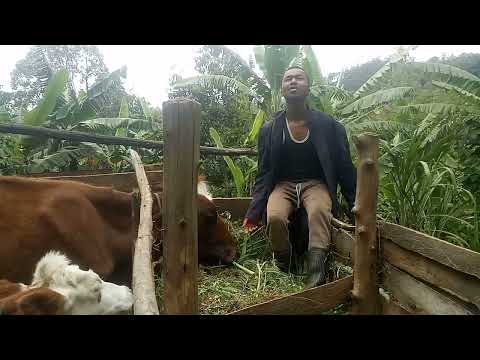 UNANIPENDA  BY SAMMY G FT PRESENTER KAI BY KENNY GOLDEN