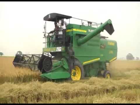 Standard self propelled combine harvester c-514