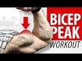 BICEP PEAK WOROUT (All Cables) - Insane Pump