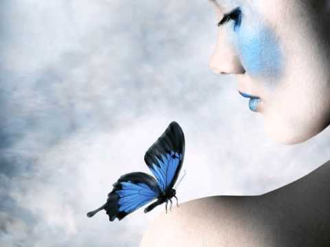 download lagu mp3 mp4 Download Butterfly Trance Melody Classics Mp3, download lagu Download Butterfly Trance Melody Classics Mp3 gratis, unduh video klip Download Butterfly Trance Melody Classics Mp3