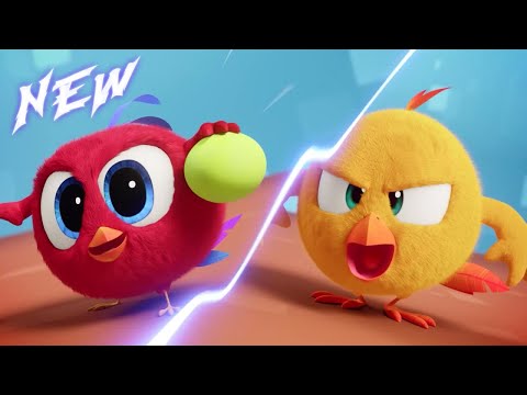 (NEW) The Duel! | Where's Chicky? 4 | Cartoon Collection in English for Kids | New episodes