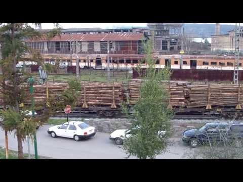 San Rosendo: historia, y todo lo que necesita saber