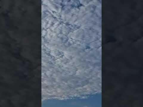 #nature #naturelove #beachvibes #beach #sea #everyone #song #tamilsong #lovesong #music #arrahman