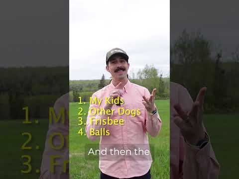 3 GPS Fence Training Mistakes to Avoid | SpotOn Homework Before You Start