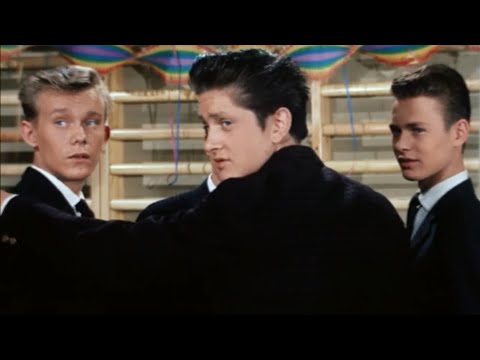 Far til fire - vil du mæ Leif (1961)