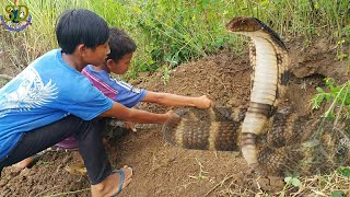 Braver boys Digging Giant Snake In The Hole  Hunti