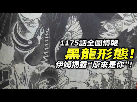 海賊王1175話全圖情報：黑龍形態！伊姆揭露“原來是你”！