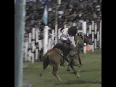 Monta en clina Campeón DIAMANTINO en la Fiesta de Urdinarrain Entre Rios 2025