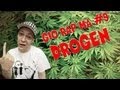 DROGEN FLEDERMAUSLAND Gio Rap Ma 09 Feat Happy Beckmann
