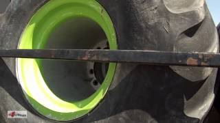 The Boogie Monster Truck in Arizona