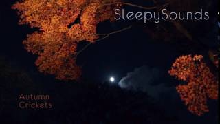Autumn Crickets - 9-Hour Sleep Sound - Fall Cricket Song