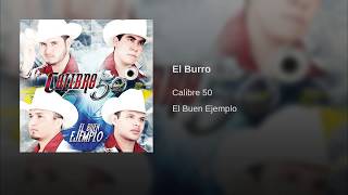 El Burro