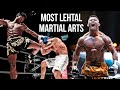 Top 15 Most Lethal MARTIAL ARTS In The World