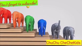 Colours Cartoon| Baby Cartoon | Watch Cartoons Online| Cartoon ChuChu CheCheKids