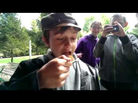 Krzysio vs łyżeczka cynamonu