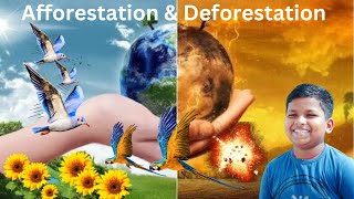 Afforestation & Deforestation | Hoyank Mission UPSC | Learning #facts #learning #learningenglish