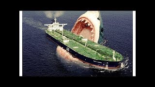 TOP 25 Ultimate Animals You Won&#39;t Believe Existed!