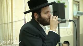 Zanvil weinbergerזאנויל וינברגר הרשי סגל מרגשים בקבלת פנים חתונה חרדית חסידית יוסף אילוז הפקות