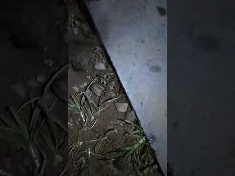 download lagu mp3 mp4 Xccf, download mp3 Xccf free download mp3, download mp3 Xccf