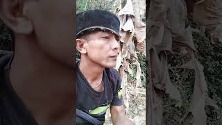 Download lagu pak Prabowo kata kata hari ini bikin ngakak MBG mp3 Download lagu pak Prabowo kata kata hari ini bikin ngakak MBG mp3