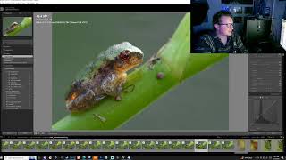 Photo Stacking Macro Photography