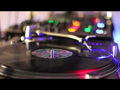 LIVESTREAM #6 - Pornbugs // 21.11.2020