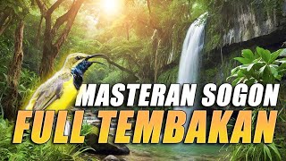 Download lagu #11 MASTERAN SOGON FULL TEMBAKAN - MUDAH DITIRU UNTUK BURUNG BAHAN DAN TROTOL! mp3