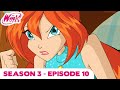 Winx Club | FULL EPISODE | Alfea Under Siege | Season 3 Episode 10