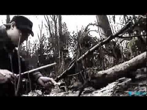 André Vard - Bionicsounds - In The Woods