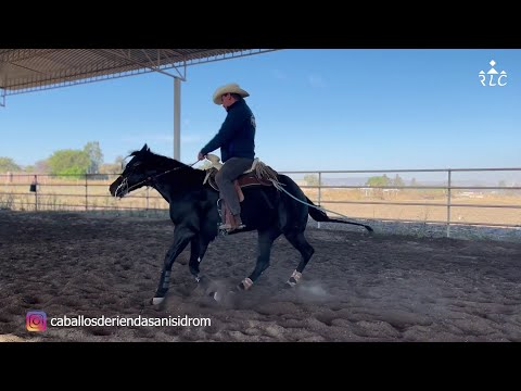 C15P4 EL CAMINO AL FUTURITY VIP - Alberto Chavéz, Toño Díaz y Matías Rubio
