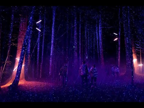 “ Alta Lumina ”. { | { Terra } | } lumina ; ❉ Haute-Savoie / # forêt II