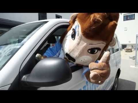 Löwen-Dauerkarte 2016/2017 - Mit dem Sechzgerl ins Stadion