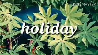 preview picture of video 'Kisah Holiday'