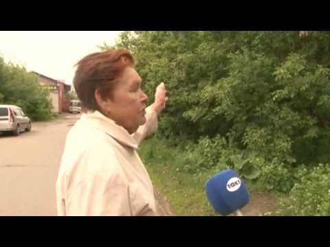 Куряне жалуются на состояние реки Тускарь и прибрежной территории