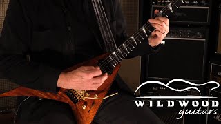 Video thumbnail for Jackson Custom Masterbuilt Randy Rhoads  •  SN: PFCG0186 by Wildwood Guitars