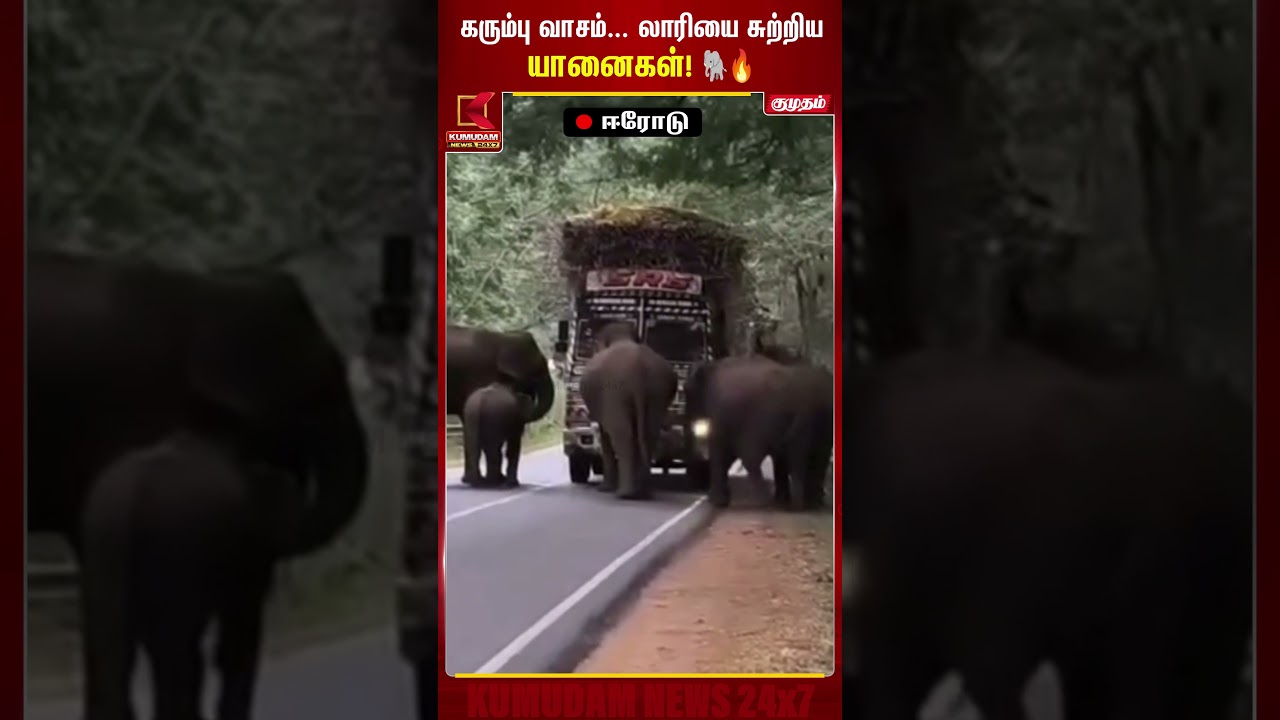 கரும்பு வாசம்... லாரியை சுற்றிய யானைகள்! Erode | Elephant | Kumudam News #shorts