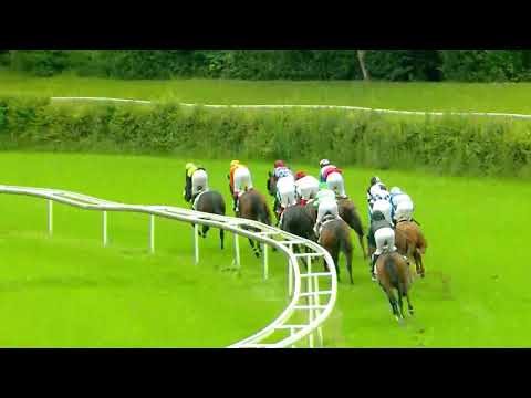 Dielsdorf/19.06.2020/Preis des Rennvereins Zurich - 1. Abteilung